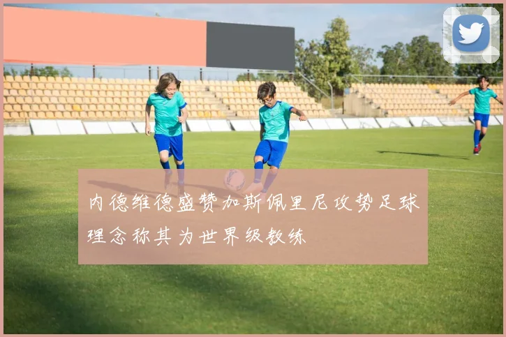 内德维德盛赞加斯佩里尼攻势足球理念称其为世界级教练