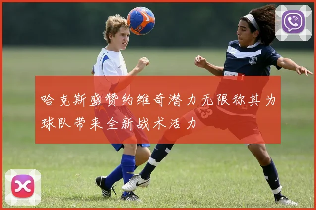 哈克斯盛赞约维奇潜力无限称其为球队带来全新战术活力