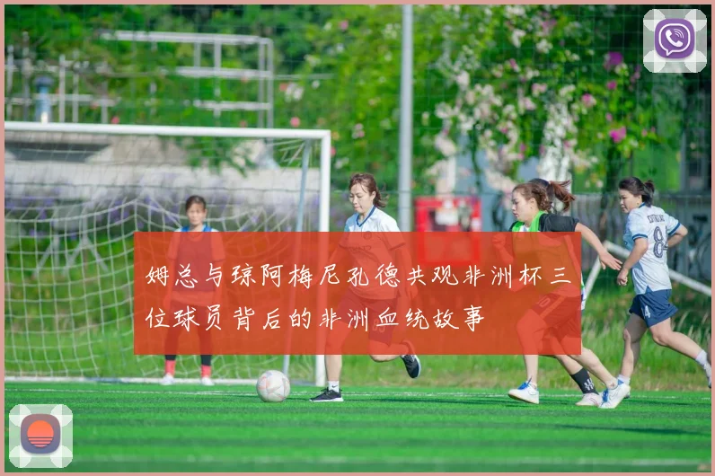 姆总与琼阿梅尼孔德共观非洲杯三位球员背后的非洲血统故事